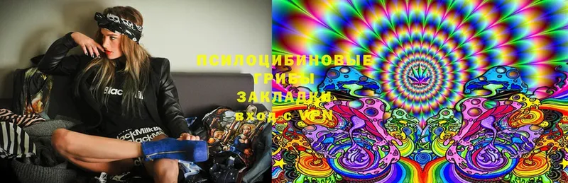 Псилоцибиновые грибы Magic Shrooms Ельня